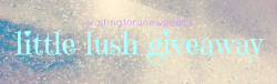Waitingforanewyear:  ☆ Lush Giveaway! ☆ I Thought I’d Do A Little Giveaway