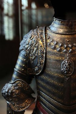 coolartefact:  Detail of the Lion Armour of French king Henry II, 1550  Source: https://imgur.com/5HiTWO4 