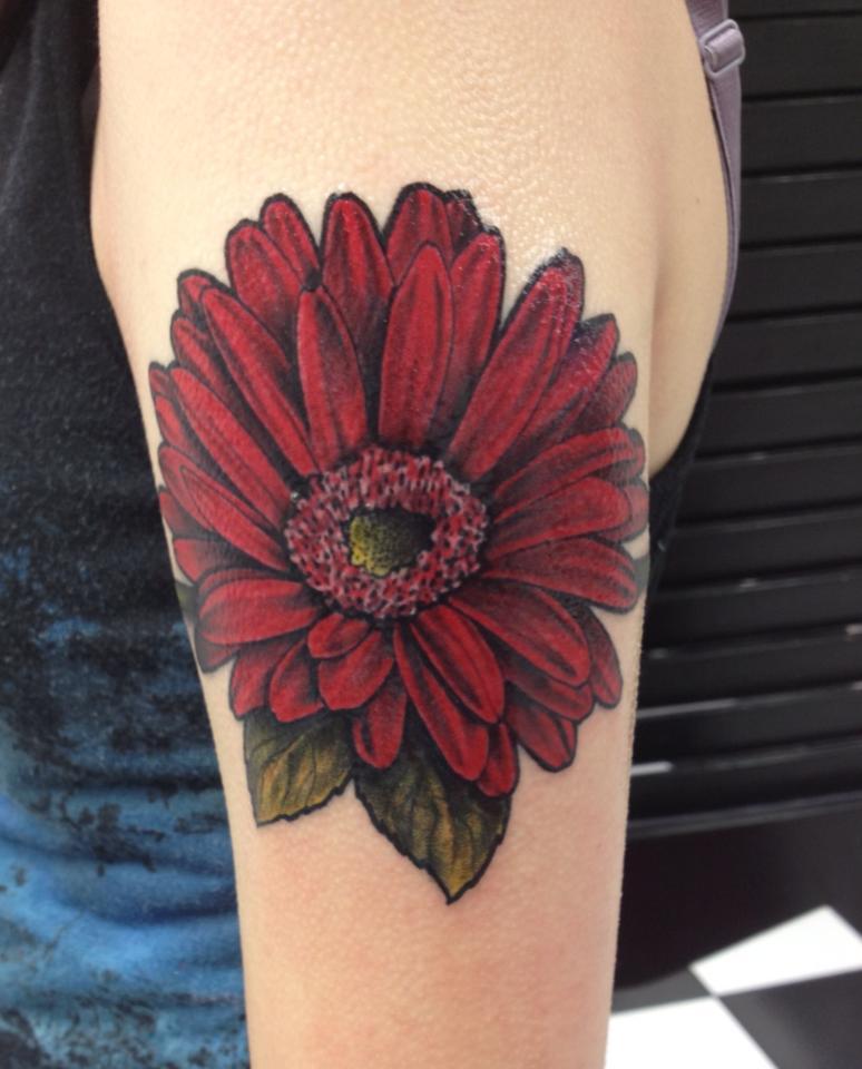 FYeahTattoos.com — This is my new Gerber Daisy tattoo I got for my...