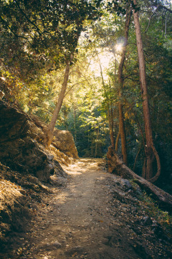 earth-exposed:   Cleared Path by (ChristopherGomez)