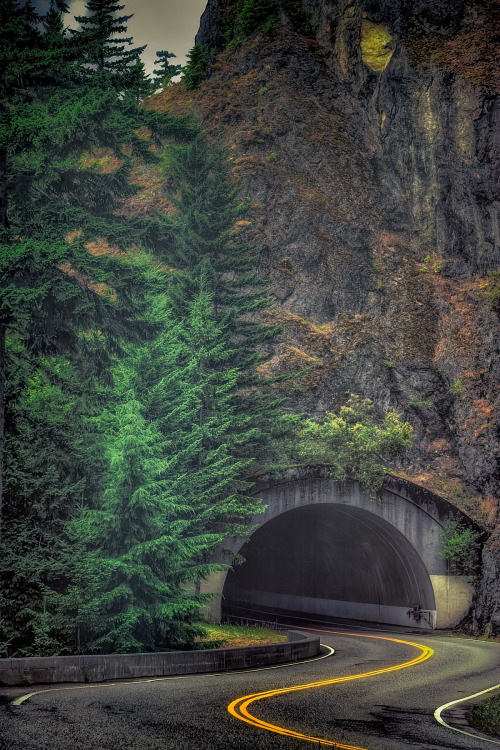 thepictorialist:Goin’ thru—Hurricane Ridge Rd, Olympic National Park, WA 2005   Knew I recognized that tunnel, I miss driving up to the ridge and enjoying the views. Ugh home is calling