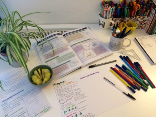 25.3.17 || Back To Basics With Enzymes Ft. New Pens And A Lovely Apple 
