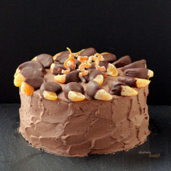 veganinspo:  Orange & Chocolate Cake