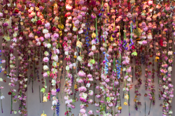 Always bring flowers, Rebecca Louise Law