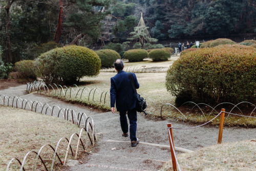 Yoyogi Park, TokyoFebruary 2016