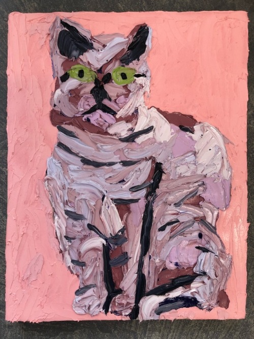 troyemery:Troy Emery, kitty, oil on linen, 45 x 35 cm, 2018.www.instagram.com/troyemery.pain