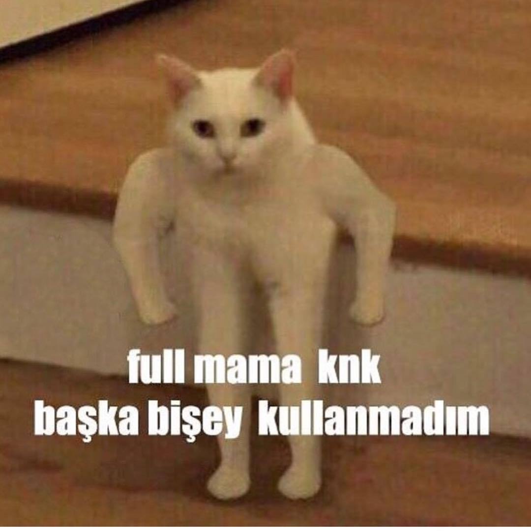 ull mama knk
başka bişey...