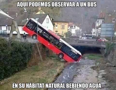 Follamos con Gordas