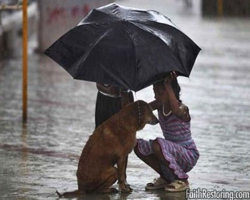 Faith in Humanity Restored