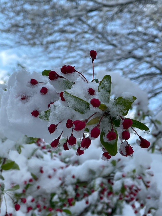 Hopefully the last touch of winter. 