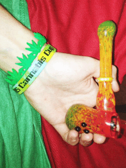 smells-like-lou-dog:  New mini bub came with a 2k15 Cannabis Cup wristband 💨