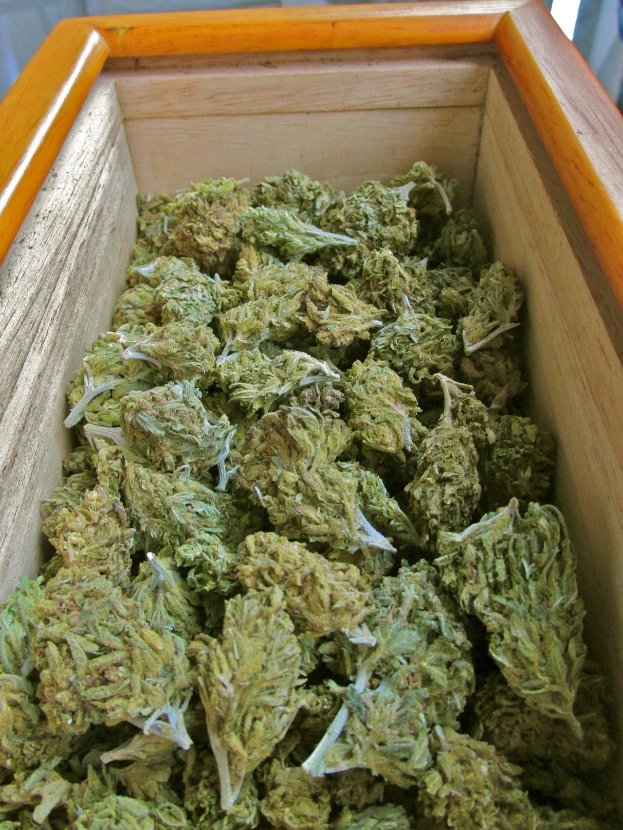 smokintrees-and-macncheese:  32 g’s of Trainwreck