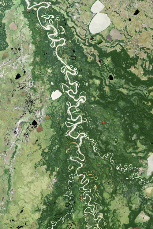 tangledwing:Enhanced Landsat-NASA satellite images of the Amazon River. Since there has been no Sout