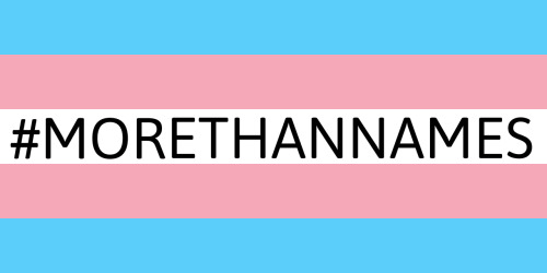 queerhistorypatreon: [Image: transgender pride flag with text saying #Morethannames in black]Today, 