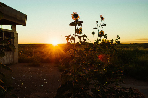 grasp:Photograph by Emmanuel Rosario via Flickr. Blog & Instagram.