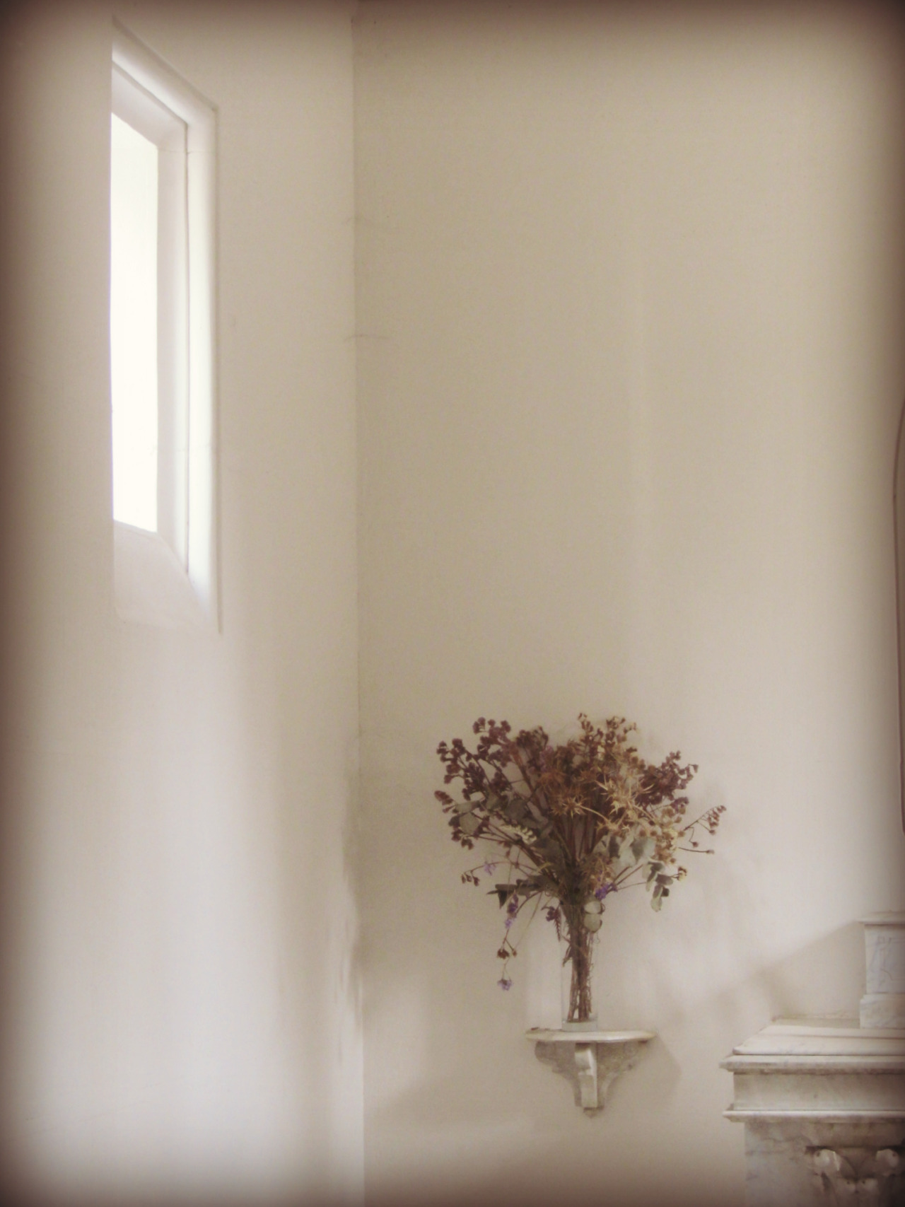laurabfernandez:  Quiet halo. A small compilation from my cemetery photowalks in