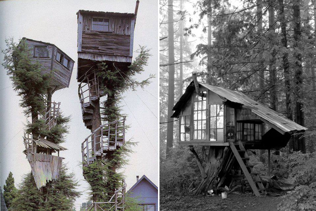 unabooting:  ladyinterior:  Via Architecture Art Design, TreeHouse Point, Sonic