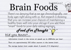 neuromorphogenesis:Brain Foodssource