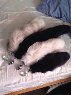 fetishboi:  My collection is growing! My new tail from thespankacademy is so white and fluffy!!! 