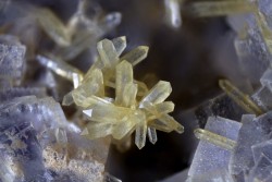 underthescopeminerals:    Quartz, Fluorite