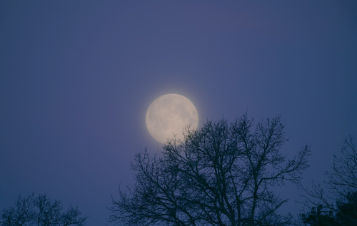 swedishlandscapes:Cant get enough of the fullmoon. This morning the sky was covered with cirrostratu