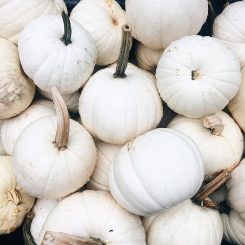 blackcoffee-andredlipstick: I heard it’s supposedly autumn, but the weather is saying otherwise