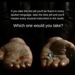 Which one would you take? 