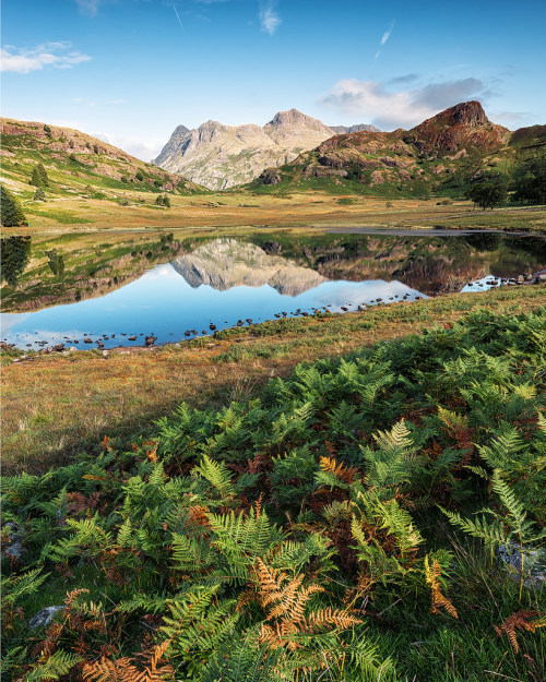 wanderthewood:  Blea Tarn, Lake District, England by John Ormerod 