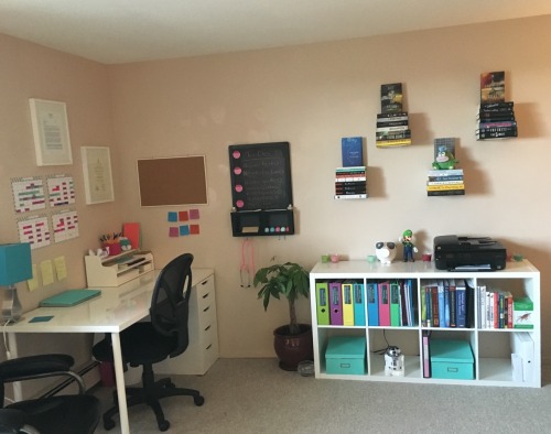 vet-in-progress:An updated picture of my study space, now that it actually has stuff in it!