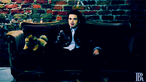itsvarza:#an extremely important gifset ft sebastian with a dog