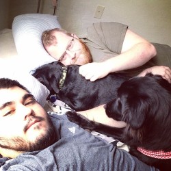 panduh-burr:  Cuddling with the lovelies