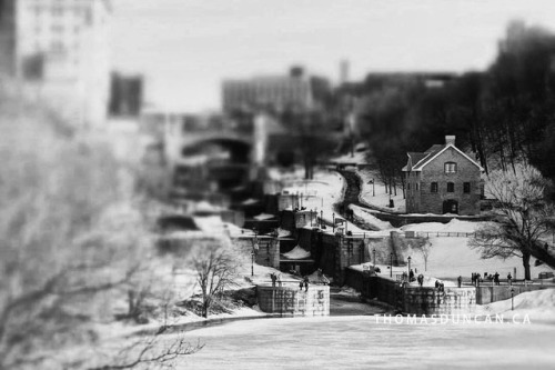 Rideau Canal. #Ottawa #Ontario #Canada #canal #rideaucanal #tiltshift #landscape #bw #bw_lover #bw_p