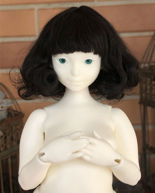 Hello, everyone!We finished sanding the Amanitas! Yay!And behold the wig! I managed to stylize it ho