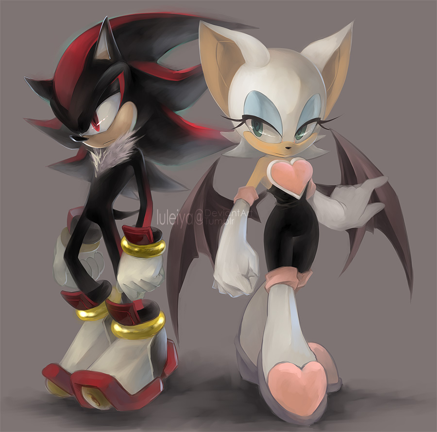iechofour:  Shadow and Rouge by luleiya