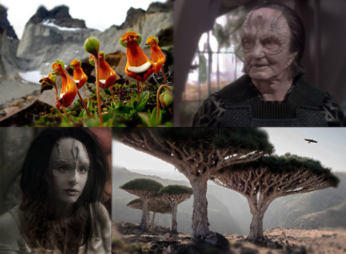 Deep Space Nine, Bad Dreams  -  Chapter Five:  The Daughters Of GarakThe next chapter of Bad Dreams.