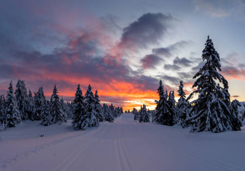 morning light in the cross country track by Jørn Allan Pedersen