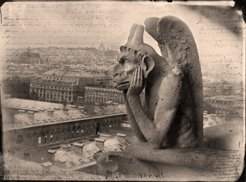 Started in 1160 with the &ldquo;finishing touches&rdquo; completed in 1345, the gargoyles of