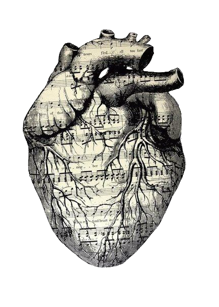 Seven of Hearts 
