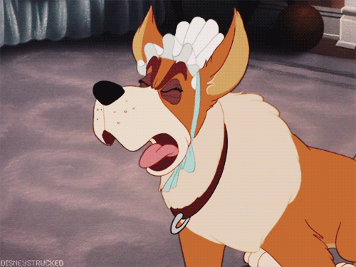 disneystrucked-blog:NO!