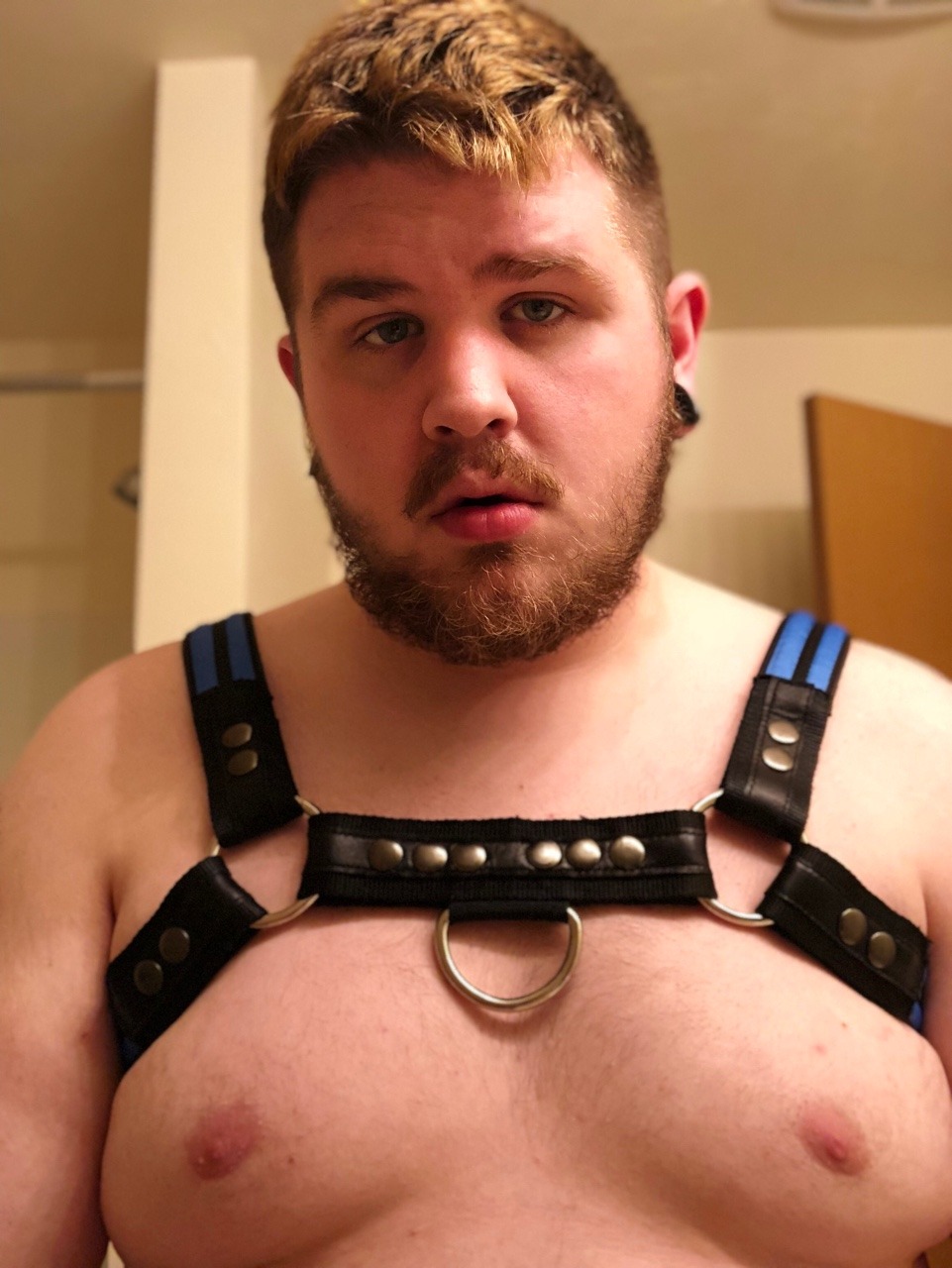zexythebearcub:  😈🐻