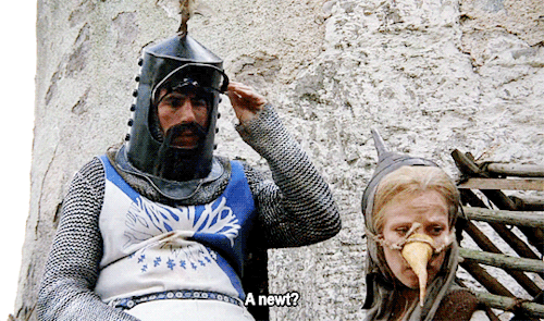 babeimgonnaleaveu:    Monty Python and the Holy Grail (1975) dir. Terry Gilliam & Terry Jones   