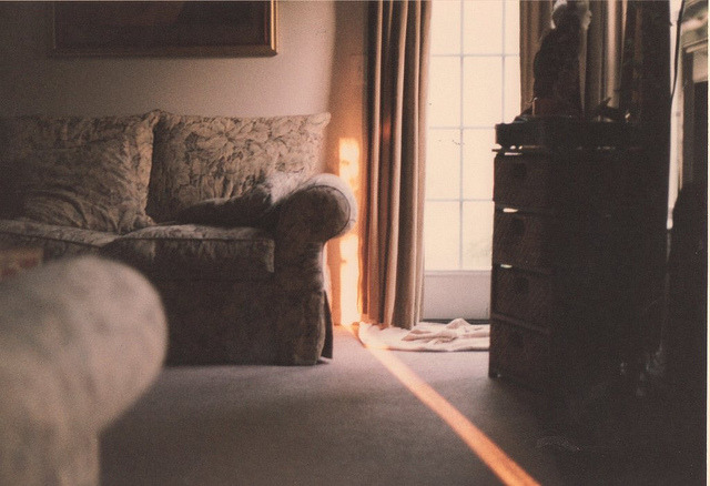 dancingbearrs:  untitled by amanda-kaitlynn on Flickr. 