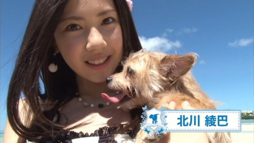 Haruppi