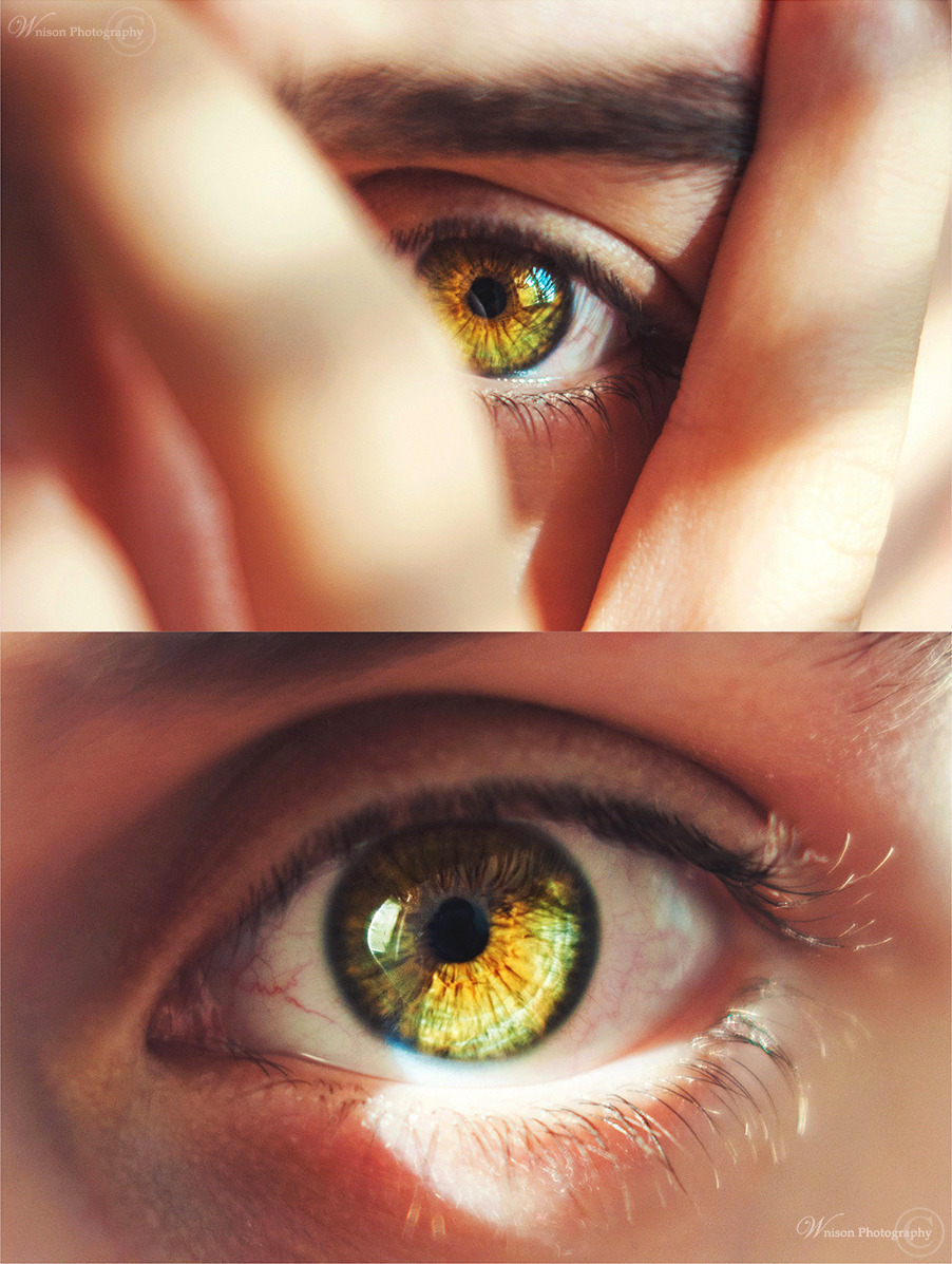 wnison:  My brother’s eye. That day was all about the warm thoughts and the details