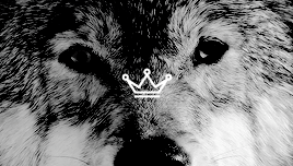 lordsnow:If a twelve-year old has to conquer the world, then so be it. — George R. R. MartinThey say