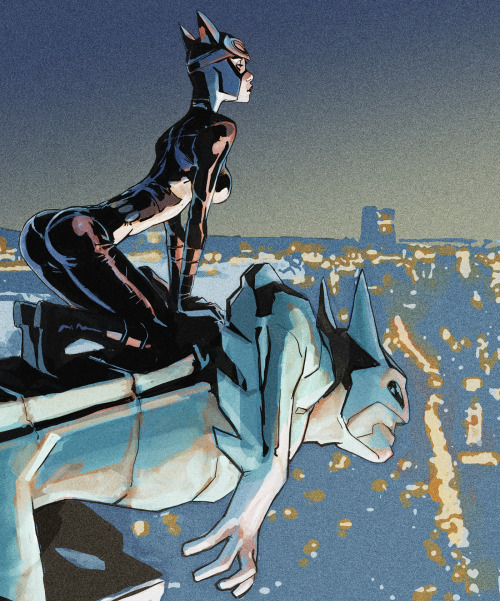 lulubonanza:  Catwoman challenge by ~joel27