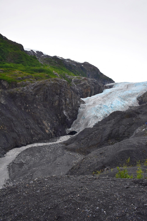 7.24.18 // exit glacier // AK