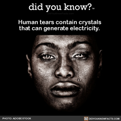 did-you-kno:  Human tears contain crystals