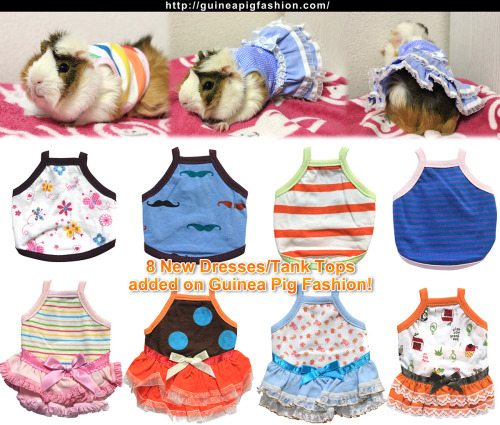 8 new items added!! Come and check our shop Guinea Pig Fashion