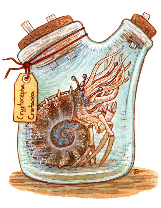 inklingart:  siryl:  Emma Lazauski a.k.a. Emla a.k.a. Inkling has twenty bottled
